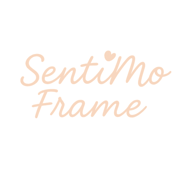 SentiMoFrame